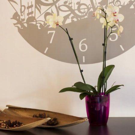 Coubi round flowerpot, transparent, 16x183cm