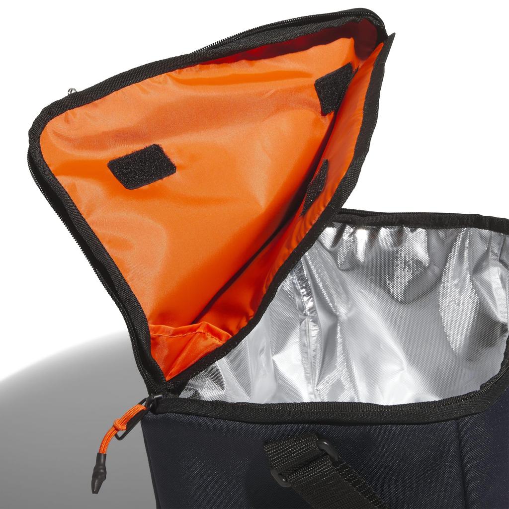 Cooler bag