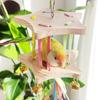 Wooden Bird Hanging Swing Colourful Bird Toy Hammock Parrot Cage Hut  Pet Bird Training