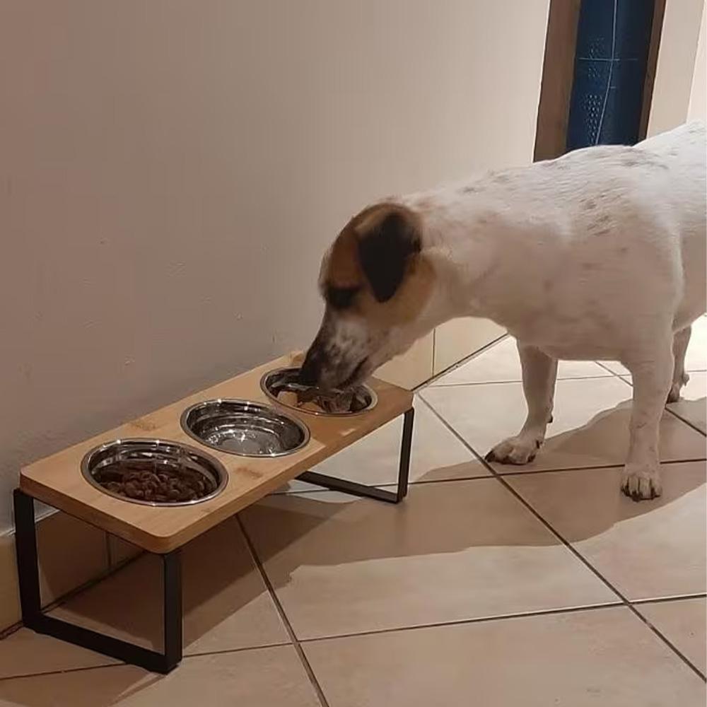 Elevated Cat Bowls 15° Tilted Raised Pet Feeder with 3 Stainless Steel Bowls Food Water Feeding Station for Cats & Small Dogs