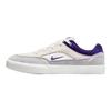 Nike Sb Malor Platinum Tint Wolf Grey Summit White Court Purple Skateboard Shoes FV6064-006