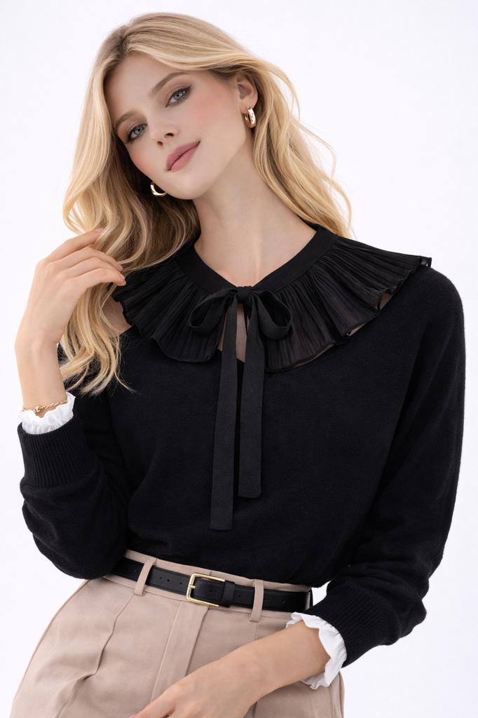 BLACK COLLAR embroidered elegant tied fashionable clothing accessory