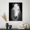Black White Animals Art Canvas Paintings On The Wall Lion Tiger Elephant Posters and Prints Wall For Living Room Home Frameless