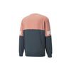 PUMA Sweatshirts Men's Gray Blue Rose Pink Crew Neck Moderate Regular 670935-42