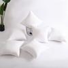 Nordic Solid Color 3D PP Cotton Sofa Cushion Pillow for Home and Hotel