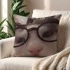Funny Cat Memes cushion cover For Pillow Printing Sofa Decoration Home Car Room Coffee Shop Office Nordic Simplicity