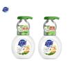 Chaoneng Foaming Antibacterial Hand Soap