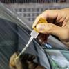 Auto Windschutzscheibe Glas Reparatur Risse Klebstoff Schnelle Reparatur Flüssigkeit Auto Fenster Reparatur-Set Glas Härtungskleber Autoglas Reparaturkleber