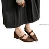 Fashion 2025 Spring Retro Women's High-Heeled Shoes Fashion Mid Heel Pointed Toe Party Shoes Women Chunky Mary Jane Shoes Zapatillas