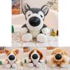 Cute Husky Plush Toy With Pp Cotton Filling For Kids And Collectors