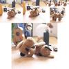 Cute Adorable Plush Cockroach Toy With Movable Wings Soft Pp Cotton Stuffed Animal