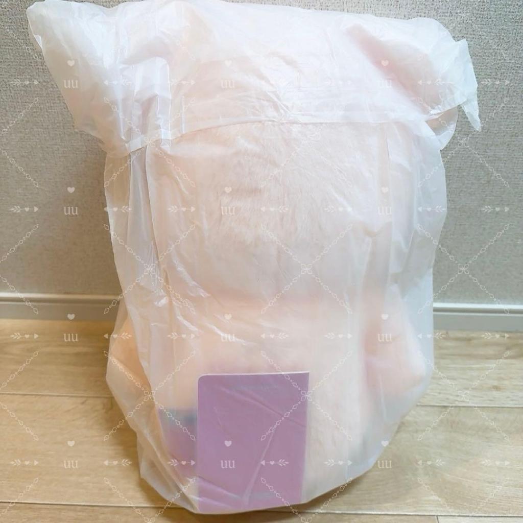 [USED] Stray Kids Teddy Bear Plush Toy, 60cm, Papimu, Seungmin, Size 22