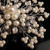 Hair Comb Flower Pearl Wedding Headdress Korean Headband Headdress Headdress Hair Comb Hair Band Bridal Ornament