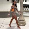 European and American Women's Clothing Leopard Print Crew Neck Long-sleeved Dress Elegant Mesh Short Hip Skirt High Sense