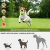 Automatic Ball Launcher for Dogs 10-30ft Adjustable Distance Motion Sensor Safety 2000mAh Battery for Small Medium Pets