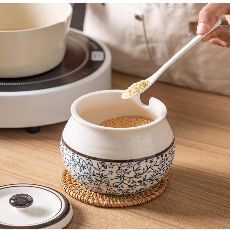 Ruhan Ceramic Seasoning Jar with Lid and Spoon