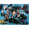 Puzzle - ravensburger - le monde magique d'harry potter - 1000 pièces - 70 x 50 cm - anti-reflets