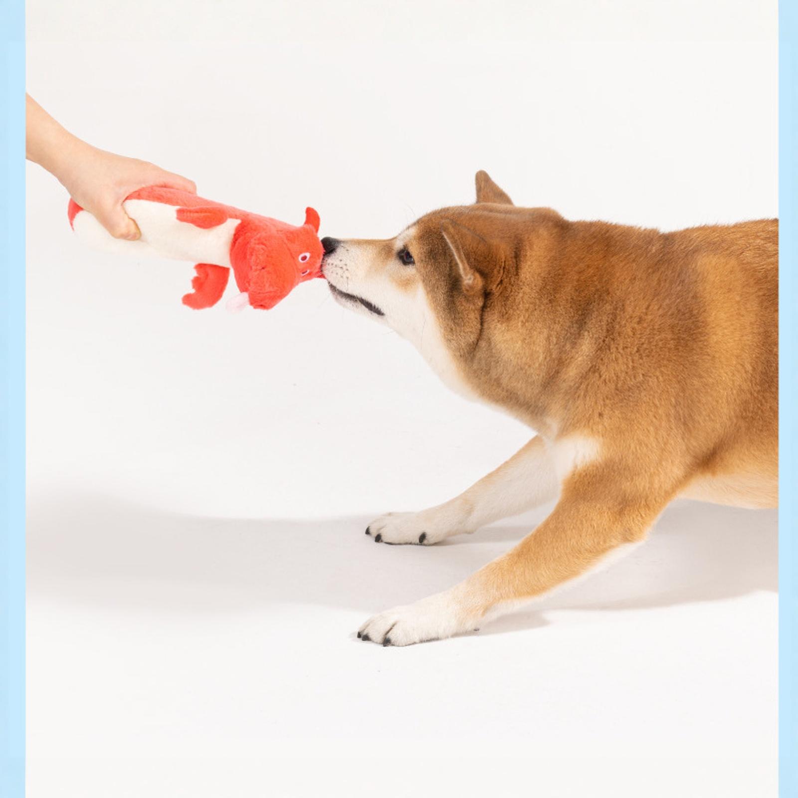 Crinkle Paper Little Dragon Dog Toy Squeaky Chew Teeth Cleaning Toy for Puppies