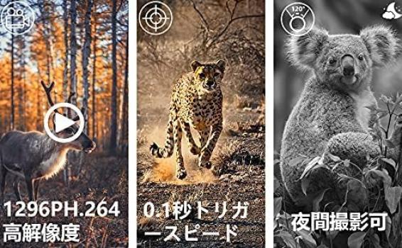 Blazevideo Trail 2 Human Wildlife Surveillance 32 Million Second IP66 Waterproof and Invisible at Battery Japanese Instruction Manual Camera, Pieces,
