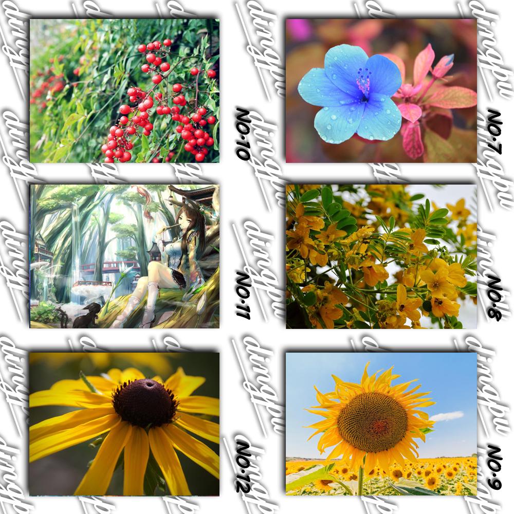 Volledige ronde boor 5D DIY diamant schilderij "Rose bloem" 3D diamant borduurwerk kruissteek Home Decor