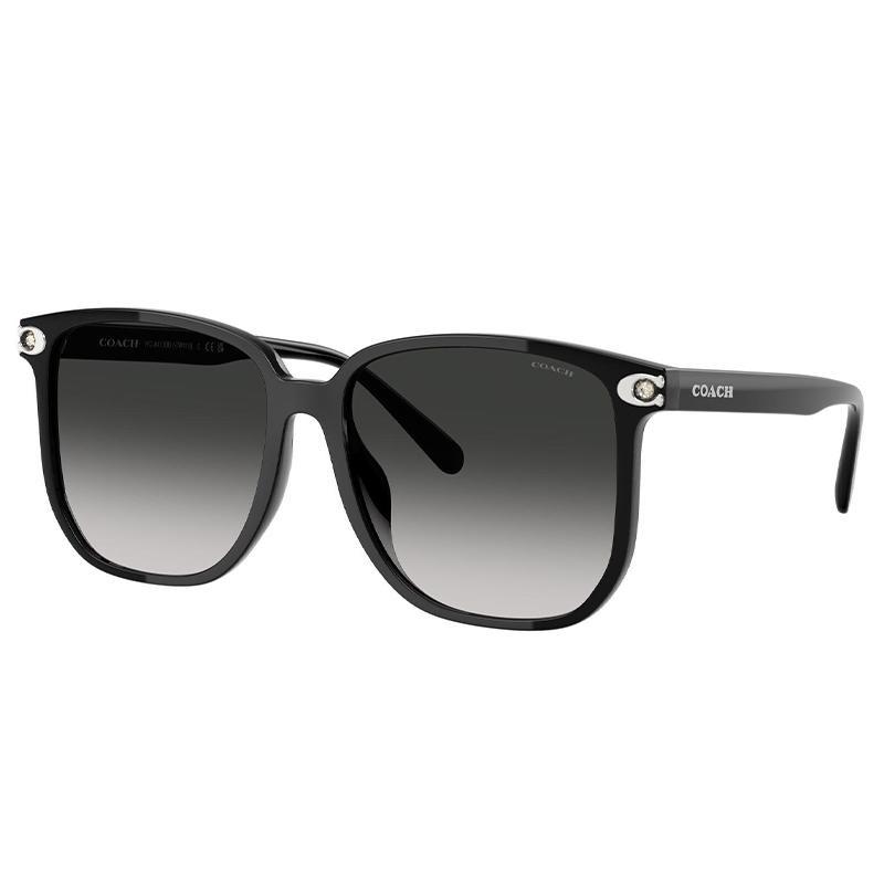 Coach Logo Decorated Square Sunglasses Women sunglasses Black 0HC8413BD50023C Basic Packaging+Eyeglass Case+Eyeglass Cloth