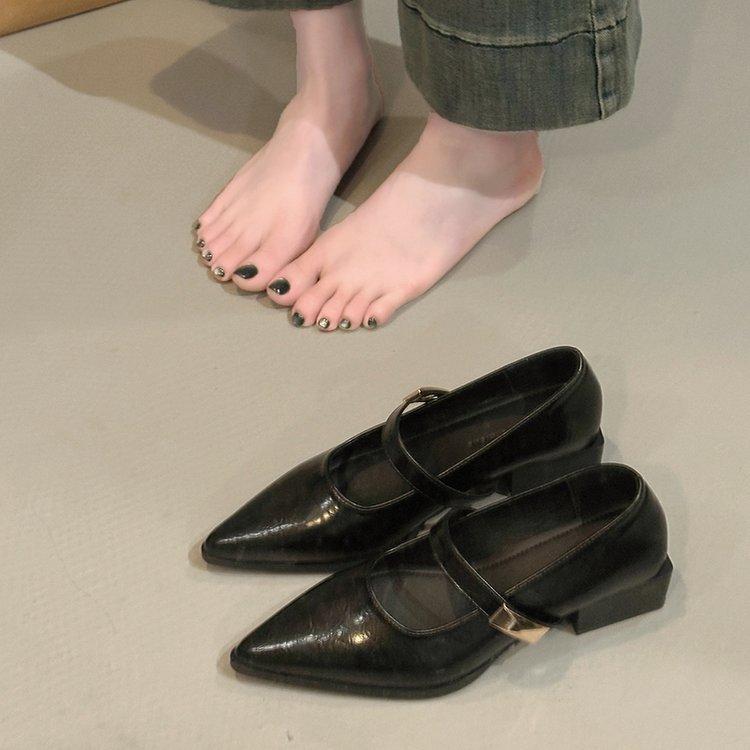 French Pointed Thick Heel Mary Jane Shoes Women's Spring 2025 New One-word Belt Low Heel Versatile Skirt Single Shoes