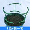 Plant Support Stakes for Gardening Indoor Outdoor Use
