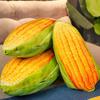 Corn Throw Pillow Fine Workmanship Wear-resistant Lightweight High Elasticity Corn Plush