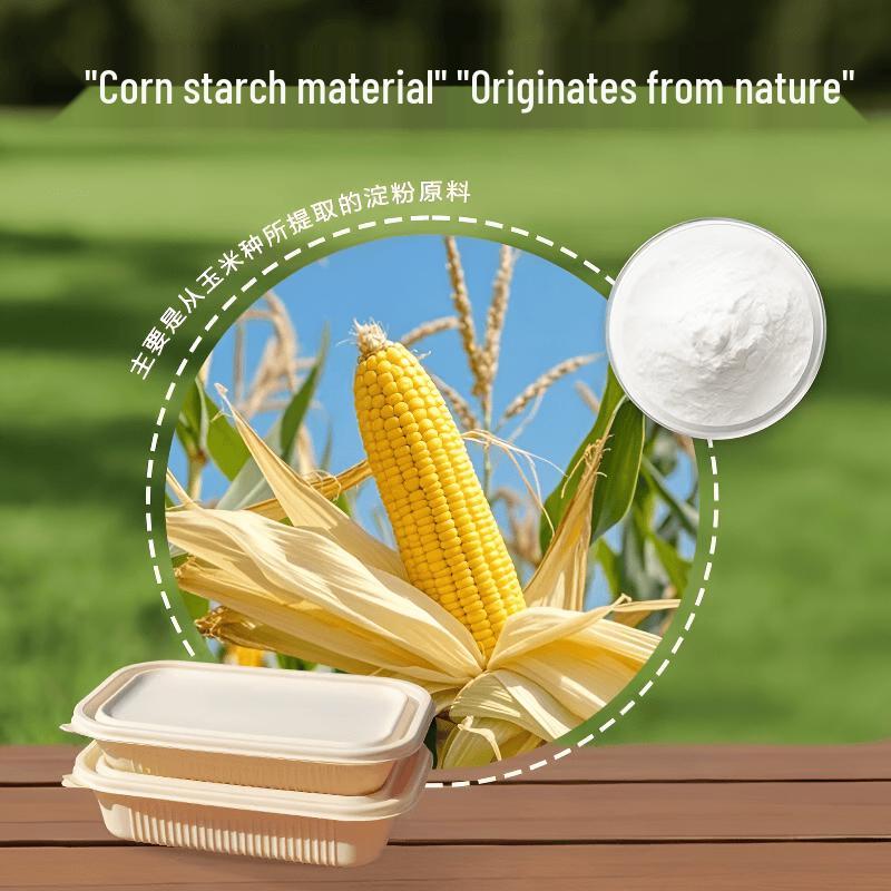 Zhi Shi Biodegradable Disposable Food Containers
