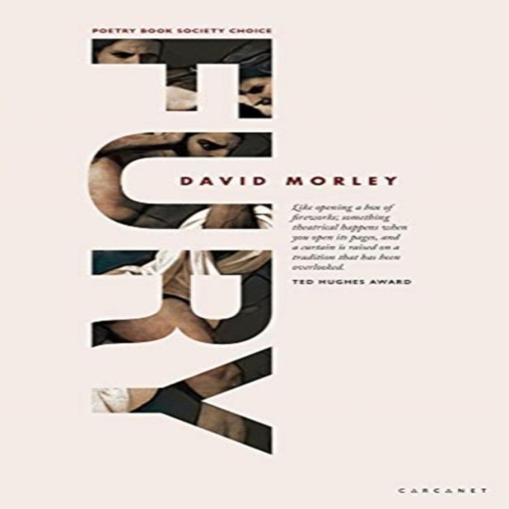 FURY by David Morley Paperback Book 9781784109905