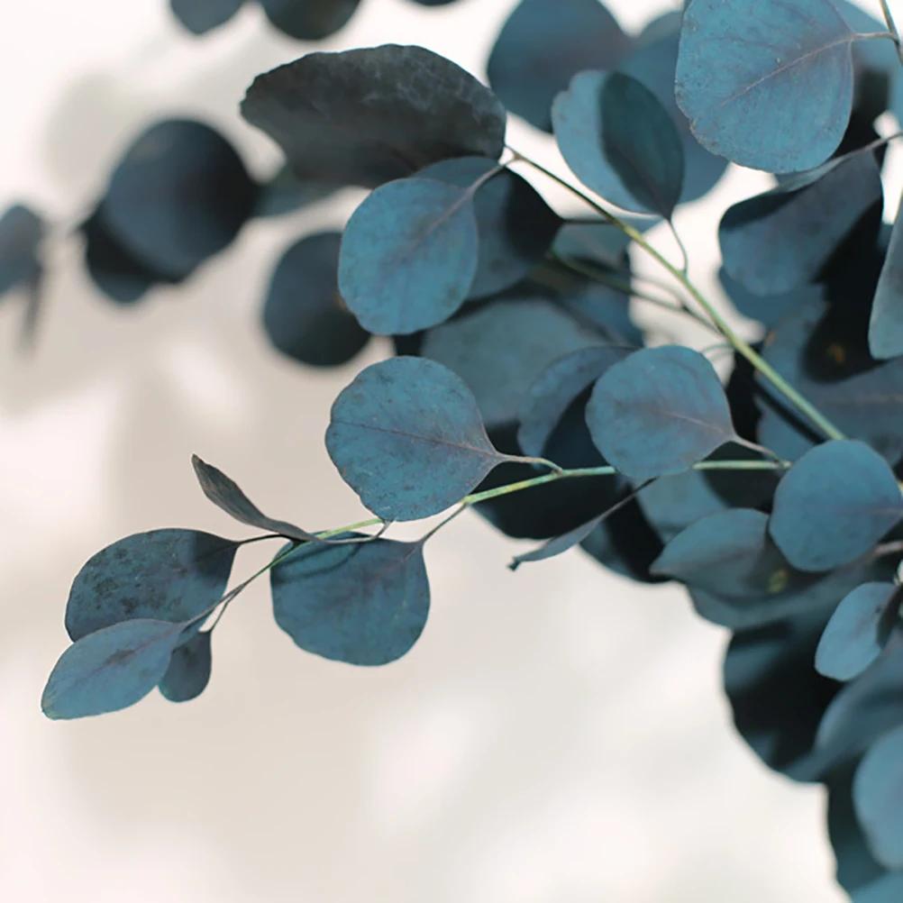 1 mazzo Fiori Secchi di Eucalipto Durata Eterna Bouquet di Fiori Secchi Decorazione Decorazione Soggiorno Casa