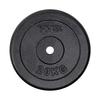 Black Cast Iron Plate 20kg TCZ20 HMS