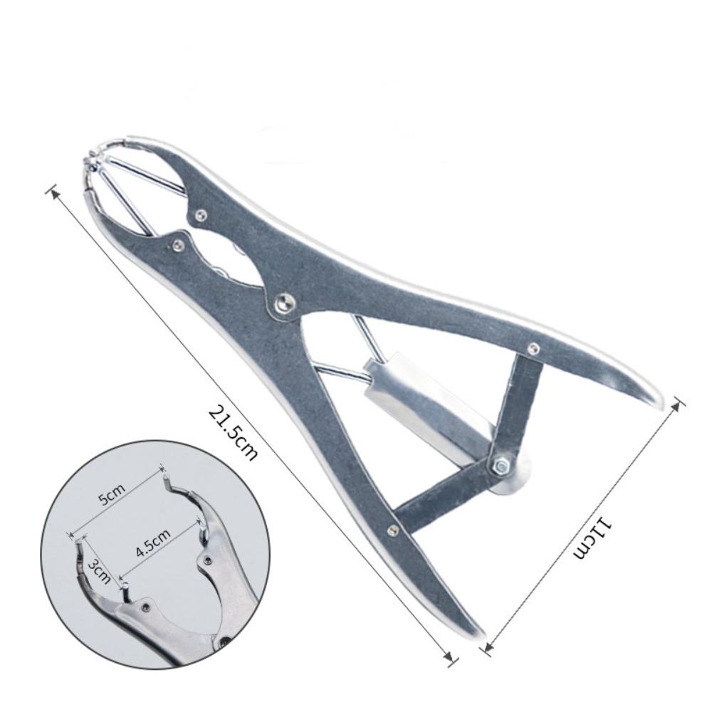 Edelstahl Schwanzentfernungszange Professionell Sterilisierbar Vieh Kastrations-Bander Ziegen-Bander Werkzeuge Schweinezucht