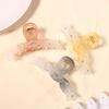 Korean Style Frosted Jelly Hair Clip - Transparent Plastic Claw for Women's Bun and Updo