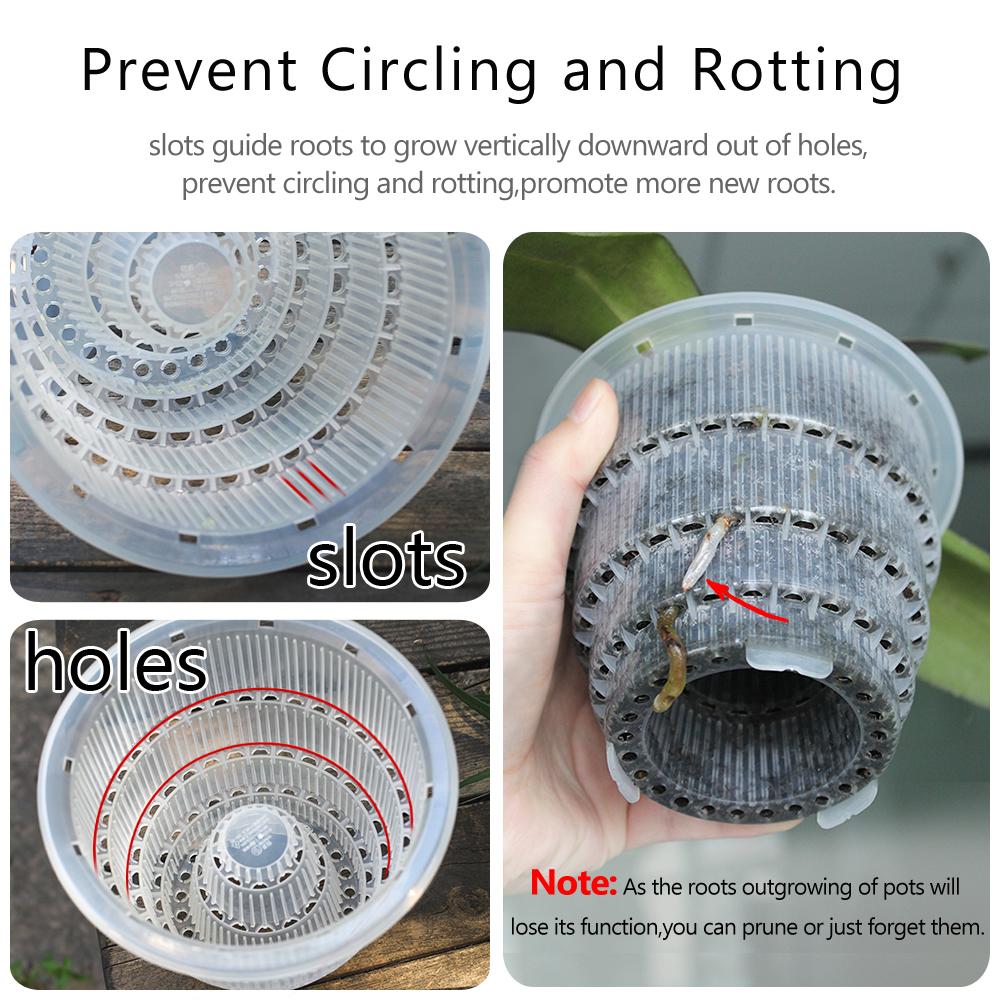 Meshpot Home Decoration Clear Orchid Pots with Holes Cattleya Dendrobium Orchid Plants Pot Cachepot In 10cm 12cm 15cm