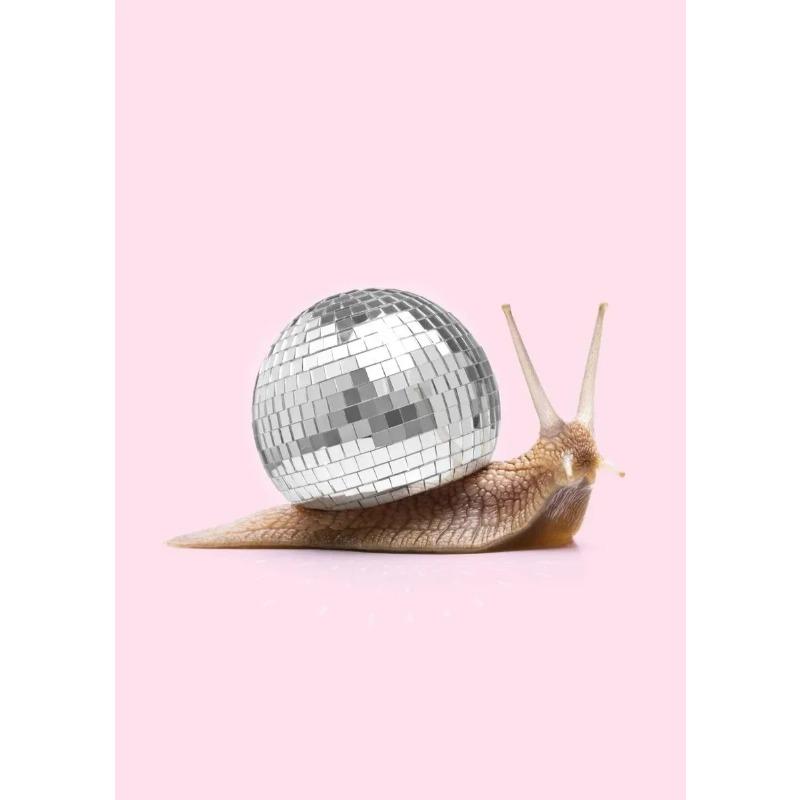 Fashion Giraffe Zebra Flamingo Party Pink Poster Animals Wall Art Canvas Painting Posters for Living Room Modern Home Decor