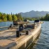 Boat Fishing Rod Holder 360Degree Rotation Kayak Stainless Steel Screws Water Sports Gear