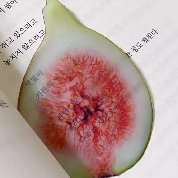 10Pcs Cartoon Fruit Bookmarks Realistic Fruit Acrylic Bookmarks Reading Aid For Book Lovers Library Travel Daily Use