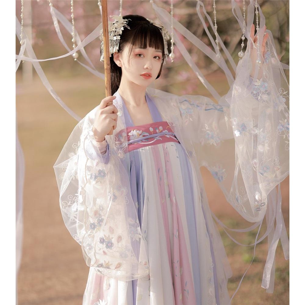 Chinese Tang Dynasty Style Hanfu Embroidery Daily Suit For Women