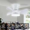 22” Ceiling Fan with Light & Remote, 6-Speed Super Wind, Wide Voltage 85-265V