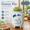 Hand-painted Ceramic Flower Pot for Succulents and Plants