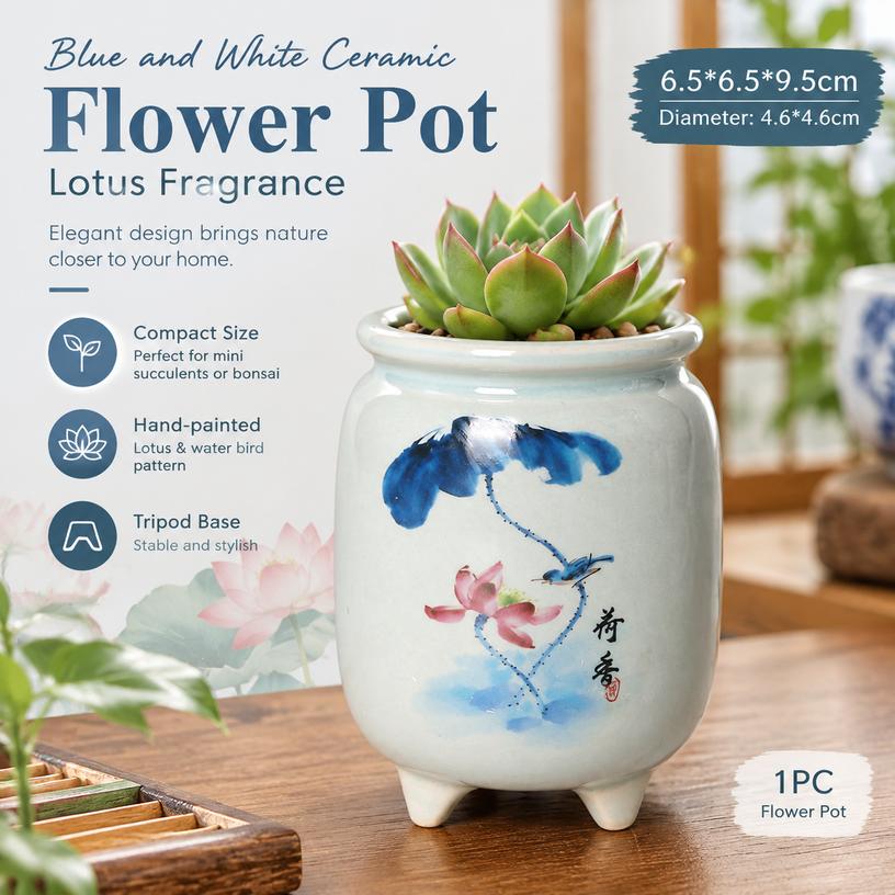 Hand-painted Ceramic Flower Pot for Succulents and Plants