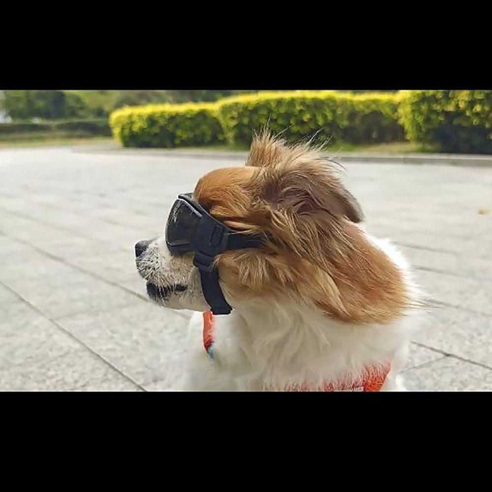 Silicon+PC+Nylon Pet Goggles Adjustable Anti UV Dog Motorcycle Glasses Pet Photo Props Windproof Rope Cat Dog Cool Glasses