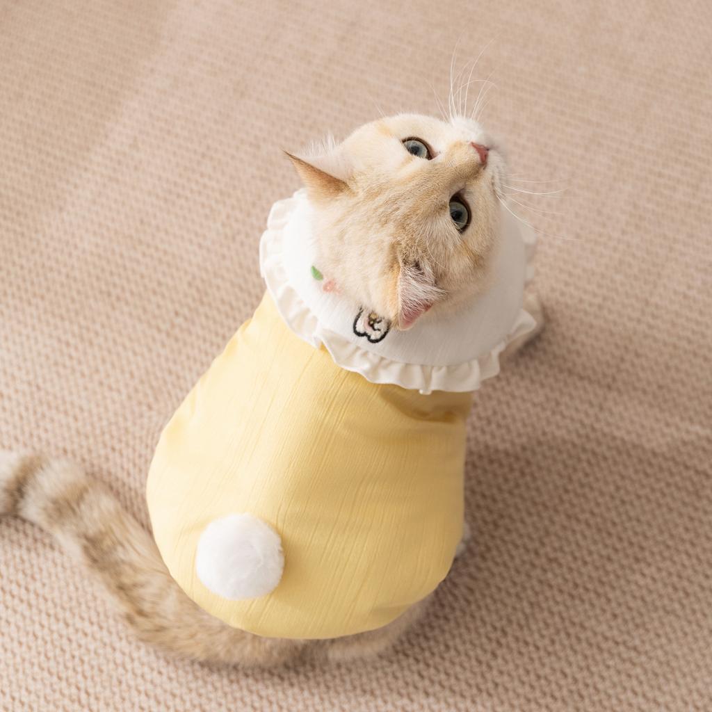Nerve cat solid color Korean version pit strip rabbit lapel vest autumn and winter thickened warm cat clothes pet clothes