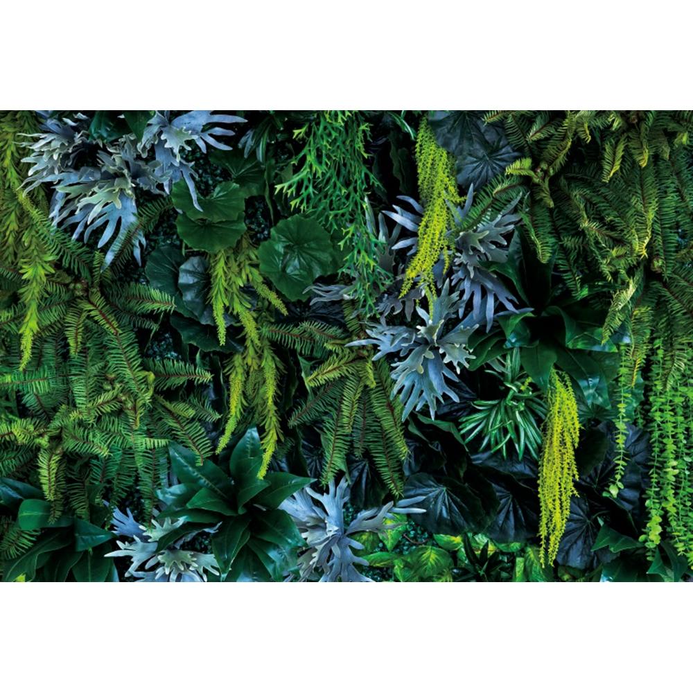 Spring Forest Backdrop Tropical Jungle Rainforest Backdrops for Photography Camping Adventure Birthday Background Photo Studio
