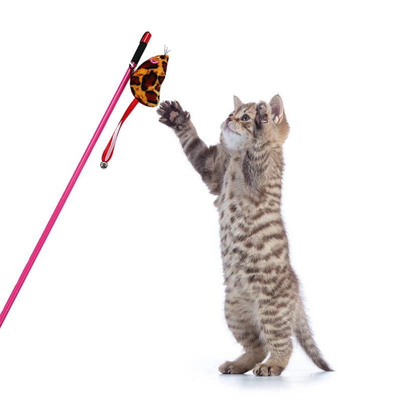 cat toy string on a stick