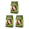 Neeta Pure Henna Powder for Hair with 9 Natural Herbs 125g X Pack of 3 Soft Shiny Natural Hair Color