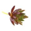 3.54'' Artificial Succulent Plant for Office Home Decoration DIY 12