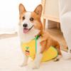 Pet Corgi Special Belly Pocket Belly Protection Clothes Puppy Dog Waterproof Raincoat Anti-dirty and Anti-cold Summer Thin