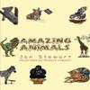 Amazing Animals by Jan Stewart Paperback Book 9781528947367